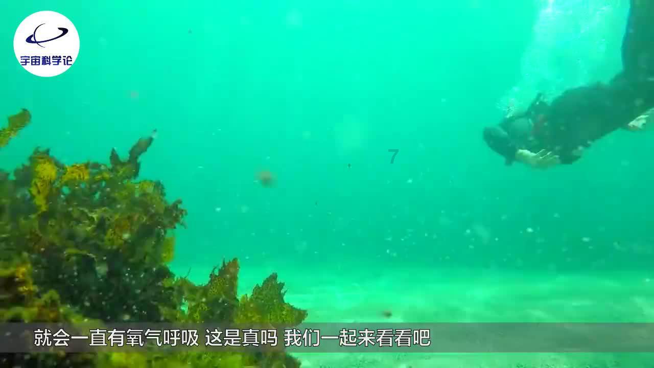 《dnf》幽暗岛三阶段偷鸡打法攻略